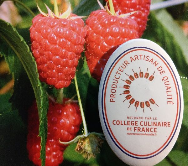 Les framboises du tursan