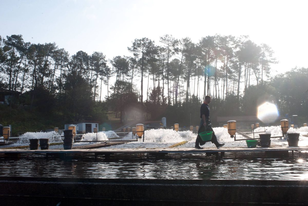 Pisciculture Groupe Aqualande