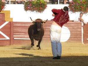 Course landaise