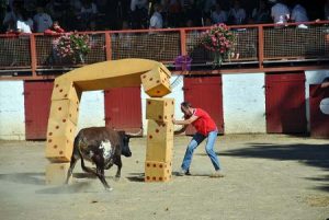 Course Landaise