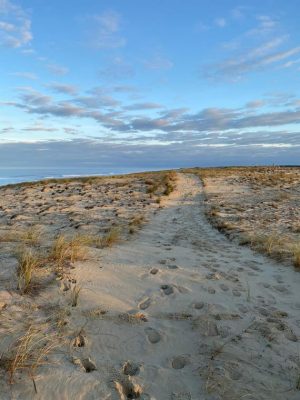 BEL AIR PLAGE – Mésange