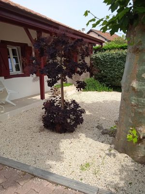 Maison Calanques