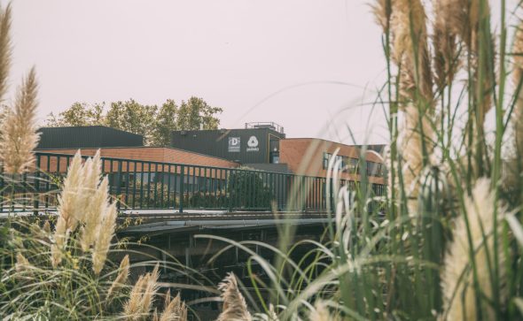 Développez votre réseau lors du « Speed Meeting » de Pulseo