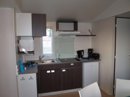 La poule d&rsquo;eau