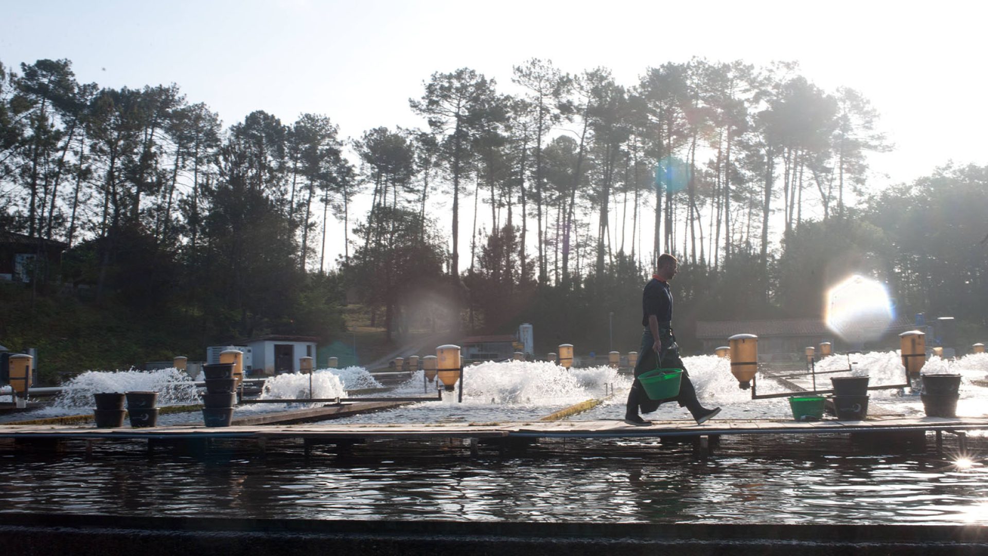 Pisciculture Groupe Aqualande