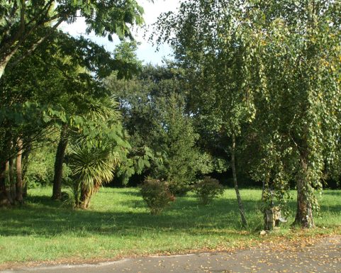 Studio – 1 à 2 pers. – PHY4/B