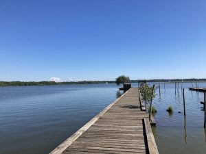 Domaine de Branouns – Villa Marcassin