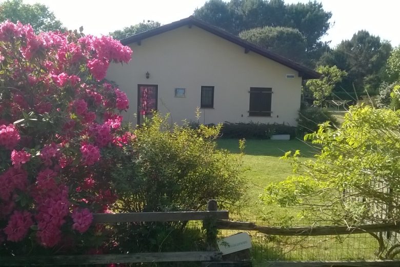 La Maison des vagues