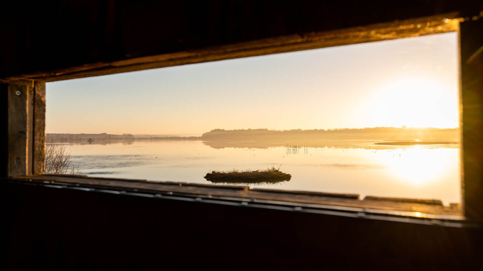 Observation à la Réserve du Marais d'Orx dans les Landes en hiver