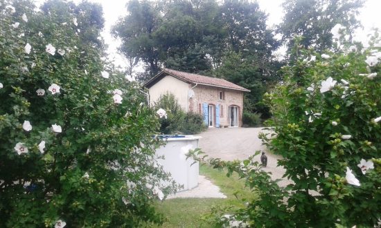 Gite Laplante, ferme chevaux