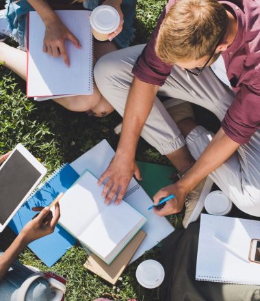 Formations professionnelles et enseignement supérieur