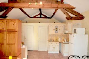 Manoir de Tireveste – Les Lilas