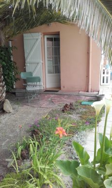 Lopez Manuel – Hibiscus Arrière