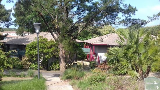 Appartement Isa&Henri