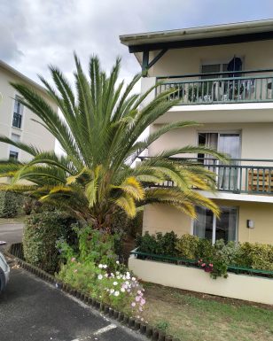 L&rsquo;appartement Résidence Latine