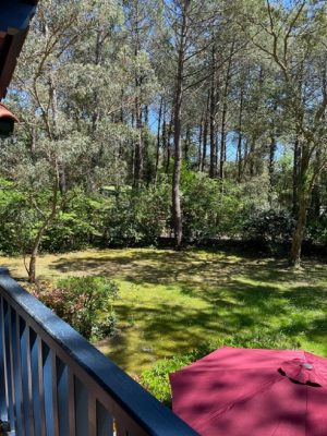 Maison Golf and Surf Moliets