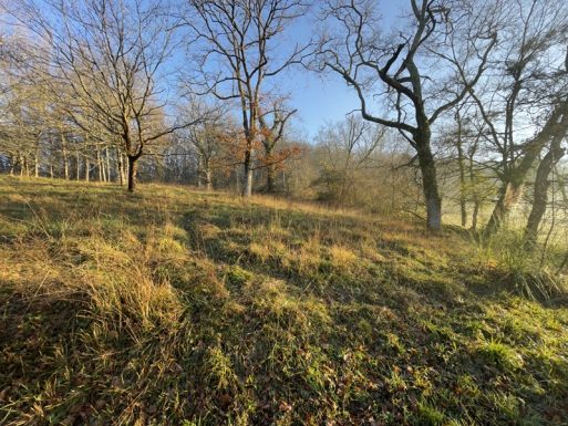 Les Mésanges n°3 à 5