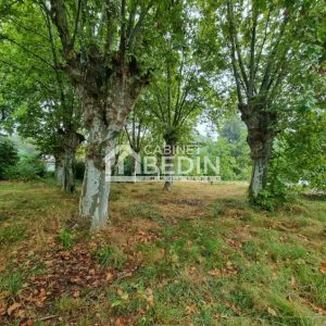 52161436  – Terrain à SOLFERINO