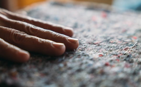 Ouatéco : l&rsquo;innovation écologique au cœur des Landes