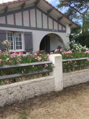 Crespo Marynette – Cantegrit