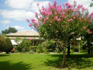 L’Ecrin de Verdure