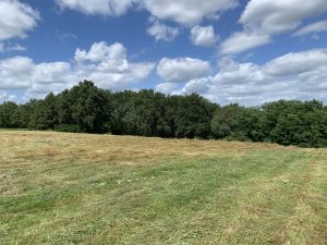 51355123  – Terrain à HAGETMAU