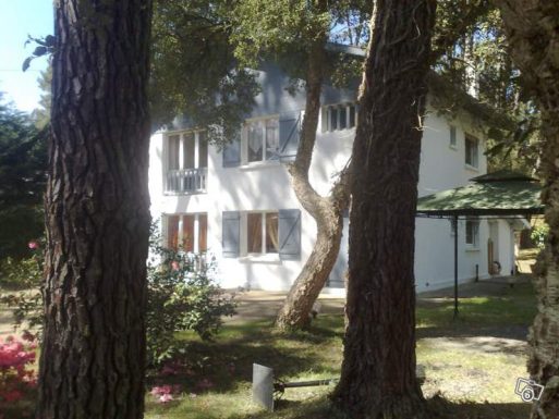 HEURTAULT-PEYROU – Les Mésanges