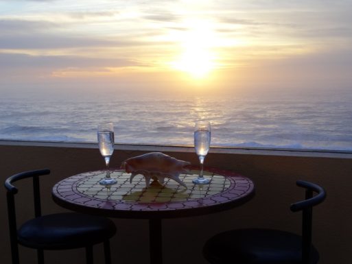 EBRARD – Les Dunes