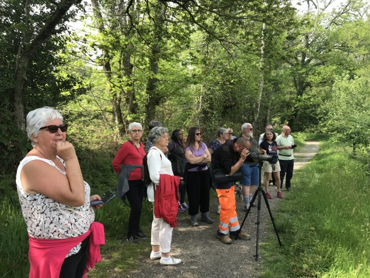 Balade « Lac, prairie, forêt, à chacun sa faune, à chacun sa flore »