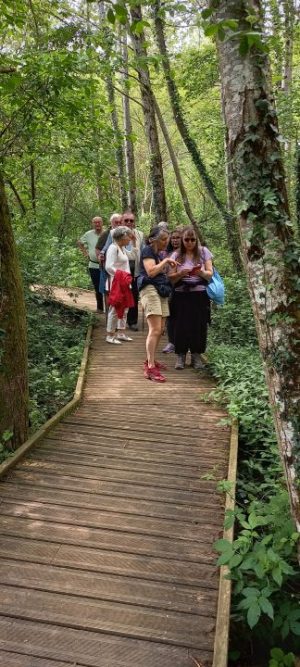 Balade « Lac, prairie, forêt, à chacun sa faune, à chacun sa flore »