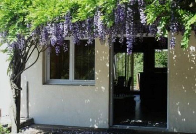 Monsieur Haas Eric – Petit Nid