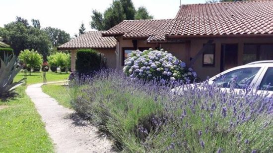 Les Genêts n° 6-12-18