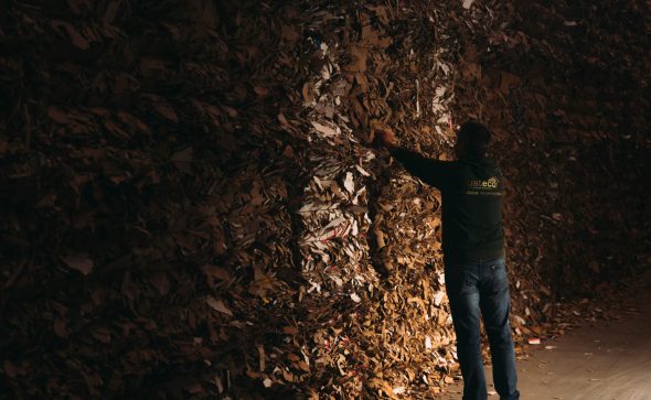 Recyclage dans les Landes : Agglolux, Ouatéco et Labat, trois acteurs engagés