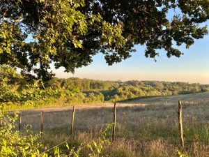 Domaine Bourgade