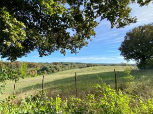 Domaine Bourgade