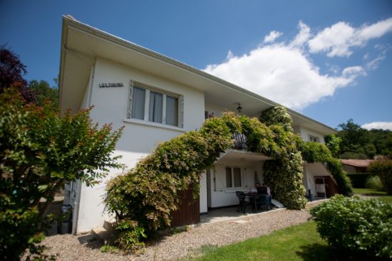 Les Glycines – Coloquinte et Dahlia