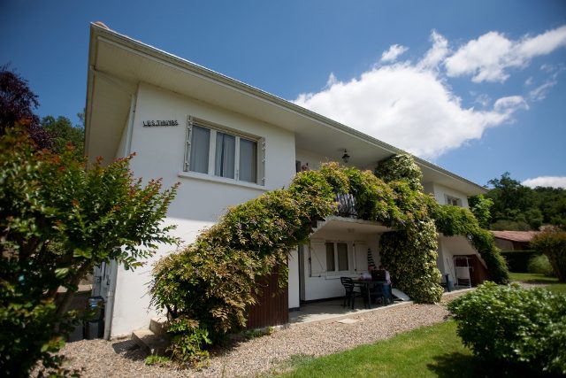 Les Glycines – Coloquinte et Dahlia