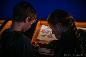 Visite « Monstrueuse d’Halloween » au Musée
