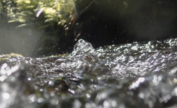 Les Landes : un territoire précurseur dans la gestion de l&rsquo;eau