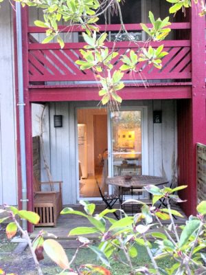 La Cabane de Lumi