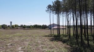 51949770  – Terrain à VIELLE ST GIRONS