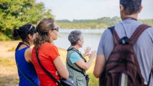 Balade nature – Entre courant et forêt