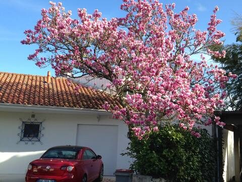 T3 – 1 à 4 pers – BAIL12/A