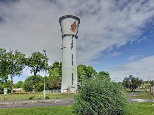 51949770  – Terrain à VIELLE ST GIRONS