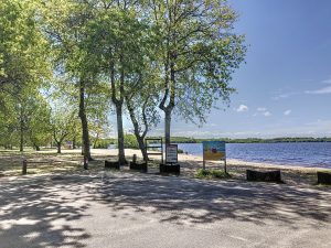 51949770  – Terrain à VIELLE ST GIRONS