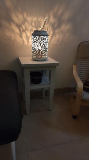 Charmant appartement côté lac et golf