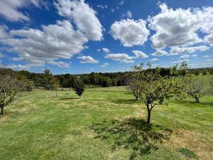 51588540  – Maison – 5 pièces à HAGETMAU