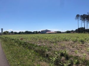 51949770  – Terrain à VIELLE ST GIRONS