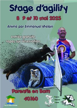 Concours Canin Agility