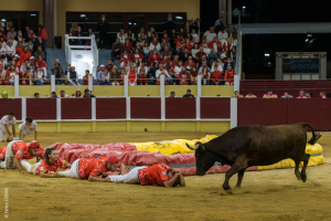 Croque-vaches